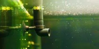 Quel système de filtration choisir pour mon aquarium