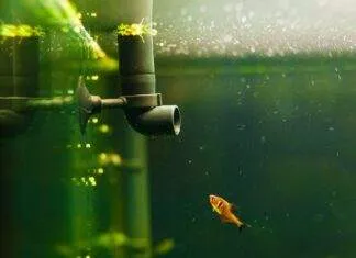 Quel système de filtration choisir pour mon aquarium