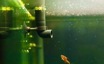 Quel système de filtration choisir pour mon aquarium Quel système de filtration choisir pour mon aquarium