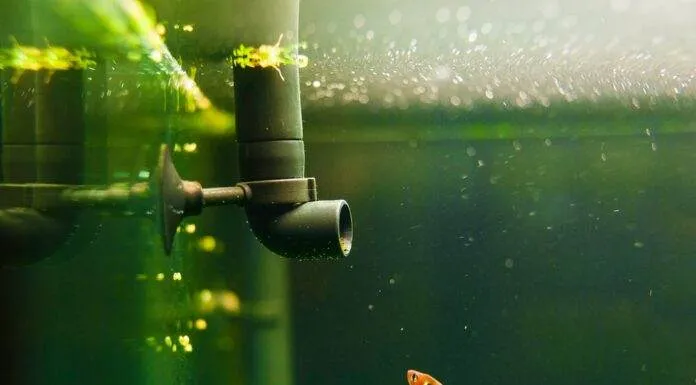 Quel système de filtration choisir pour mon aquarium