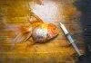Comment éviter les maladies chez les poissons d’aquarium Comment éviter les maladies chez les poissons d'aquarium