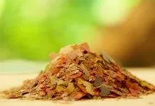 Choisir sa nourriture sèche pour poissons d’aquariums nourriture sèche pour poissons d'aquariums