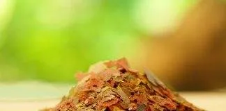 nourriture sèche pour poissons d'aquariums