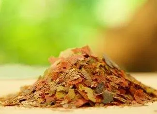 nourriture sèche pour poissons d'aquariums