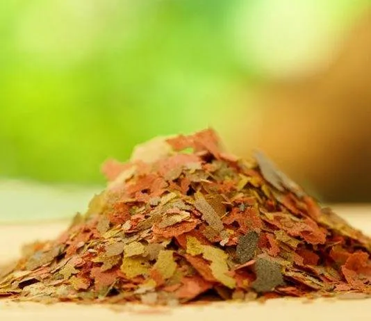 nourriture sèche pour poissons d'aquariums