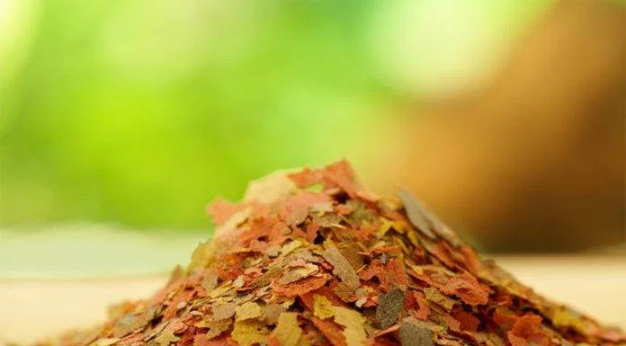 nourriture sèche pour poissons d'aquariums