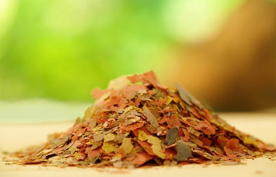 nourriture sèche pour poissons d'aquariums