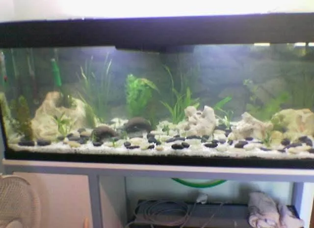 8-Fabrication d'un meuble de support pour aquarium