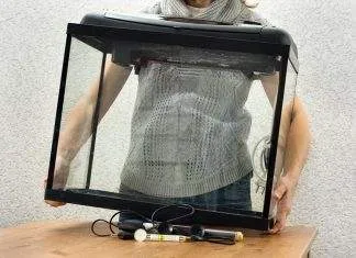 L'installation d'un aquarium