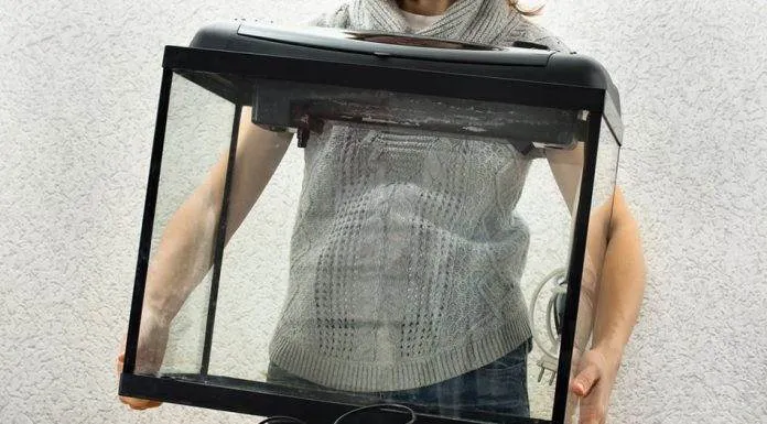 L'installation d'un aquarium