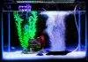 bulleur aquarium a quoi ça sert ? aquarium bulleur la nuit