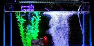 aquarium bulleur la nuit