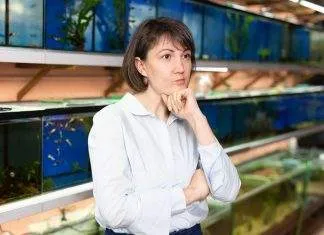 comment acheter son aquarium