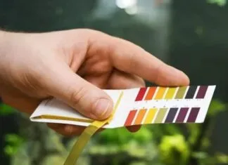 Le pH de l'eau en aquarium