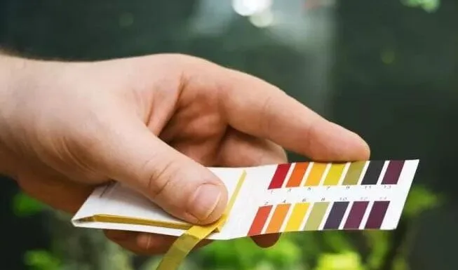 Le pH de l'eau en aquarium