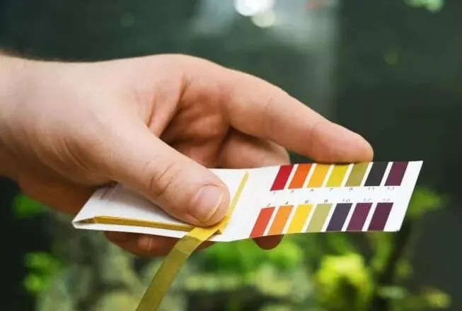 Le pH de l'eau en aquarium