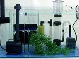 Les matériaux de filtration en aquarium