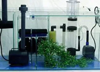 Les matériaux de filtration en aquarium