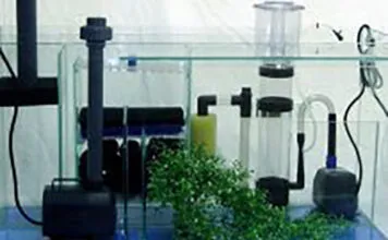Les matériaux de filtration en aquarium Les matériaux de filtration en aquarium