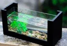 Définir les termes pour dureté de l’eau en aquarium dureté de l'eau en aquarium