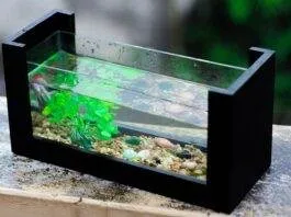 dureté de l'eau en aquarium