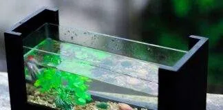 dureté de l'eau en aquarium