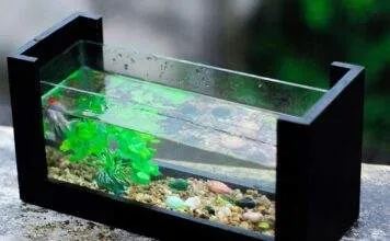 dureté de l'eau en aquarium