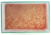 Méthode nouvelle d’élevage de nauplies d’artémias élevage de nauplies d'artémias
