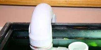 Changement d’eau par goutte à goutte (1)1