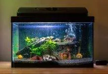 Changer le GH – KH de son eau Changer le GH - KH de son eau