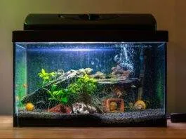 Changer le GH - KH de son eau