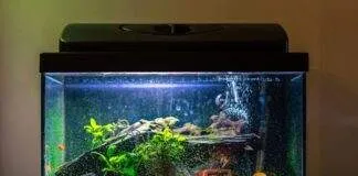 Changer le GH - KH de son eau