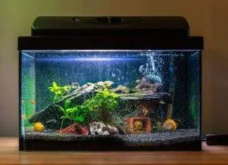 Changer le GH - KH de son eau