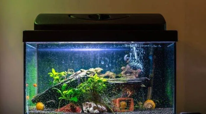 Changer le GH - KH de son eau