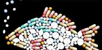 Les différents antiparasitaires poissons d'aquarium