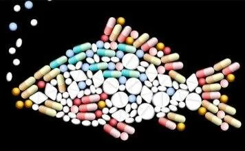 Les différents antiparasitaires poissons d'aquarium