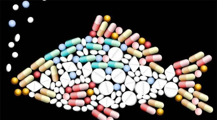 Les différents antiparasitaires poissons d’aquarium Les différents antiparasitaires poissons d'aquarium