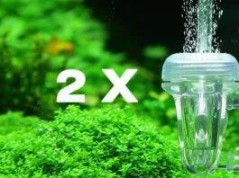 Alimenter deux aquariums à partir d'une seule bouteille de CO2