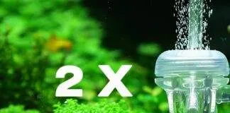 Alimenter deux aquariums à partir d'une seule bouteille de CO2