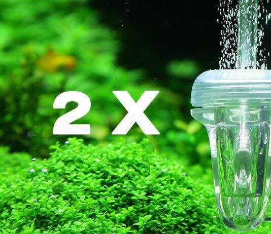 Alimenter deux aquariums à partir d'une seule bouteille de CO2