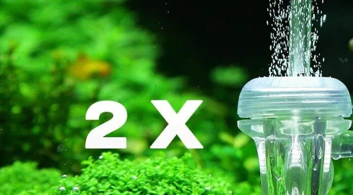 Alimenter deux aquariums à partir d’une seule bouteille de CO2 Alimenter deux aquariums à partir d'une seule bouteille de CO2
