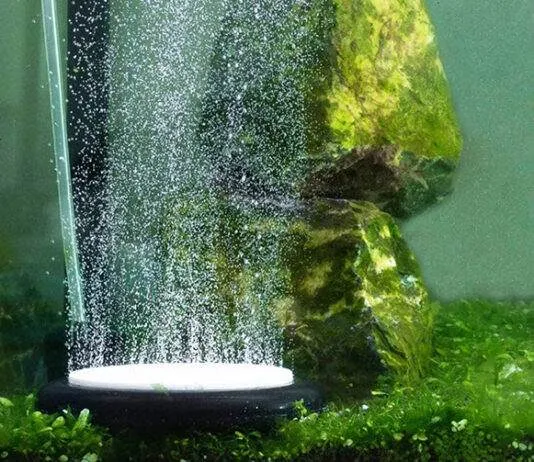 L'oxygène dans l'aquarium