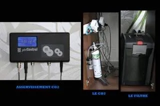 aquarium amazonien (3)