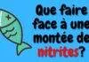 Que faire face à une montée de nitrites? Que faire face à une montée de nitrites?