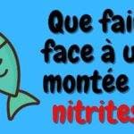 Que faire face à une montée de nitrites?