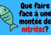 Que faire face à une montée de nitrites? Que faire face à une montée de nitrites?