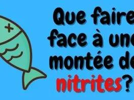 Que faire face à une montée de nitrites?