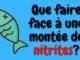Que faire face à une montée de nitrites? Que faire face à une montée de nitrites?
