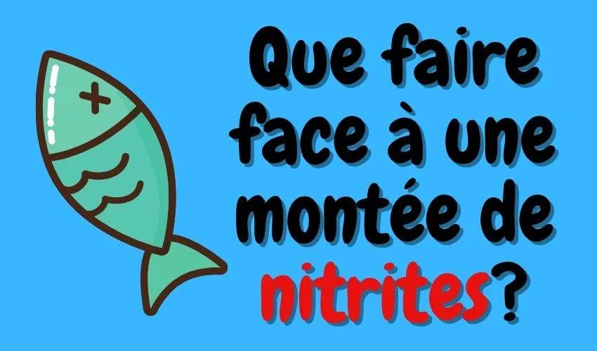 Que faire face à une montée de nitrites?