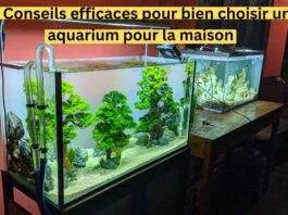 4 Conseils efficaces pour bien choisir un aquarium pour la maison